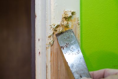 Door Paint Stripping